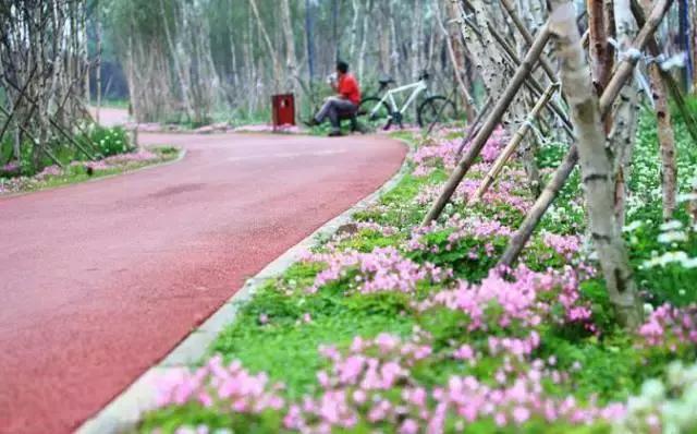 对不起成都，我只能给你90分！