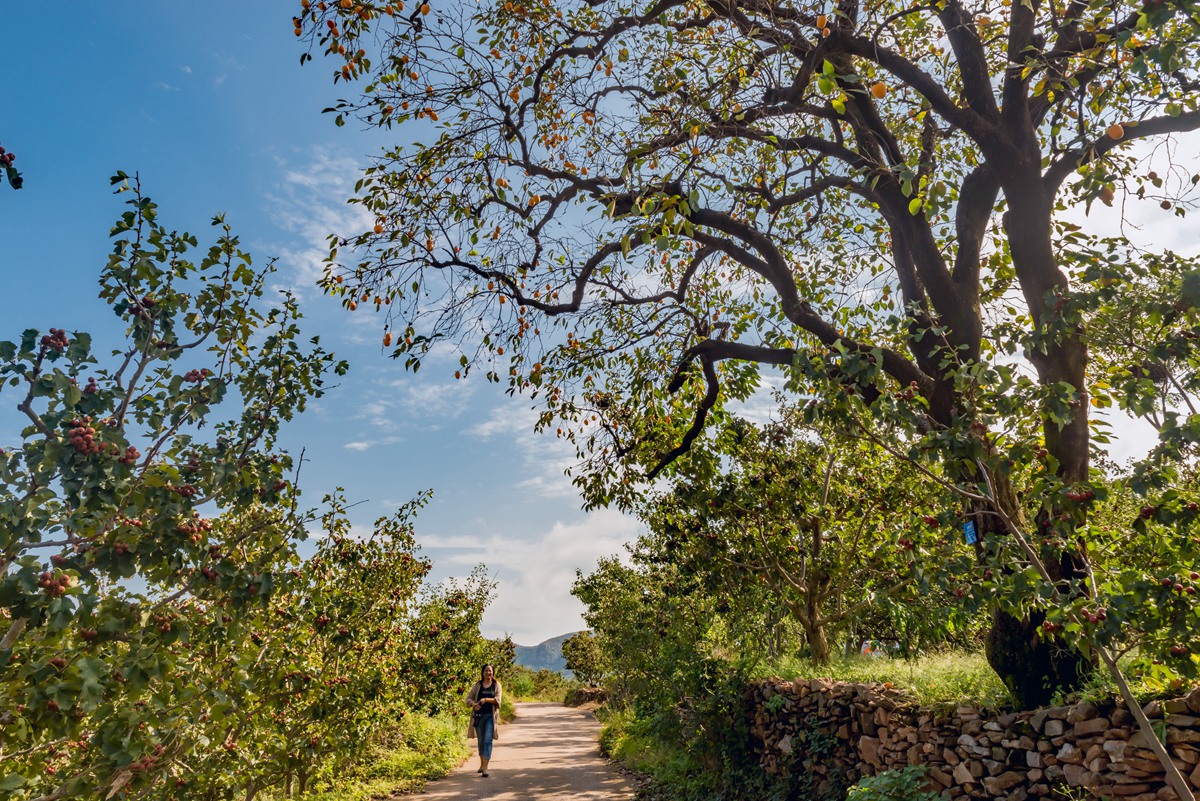 彭泉漫游谷一日游图片,彭泉漫游谷图片