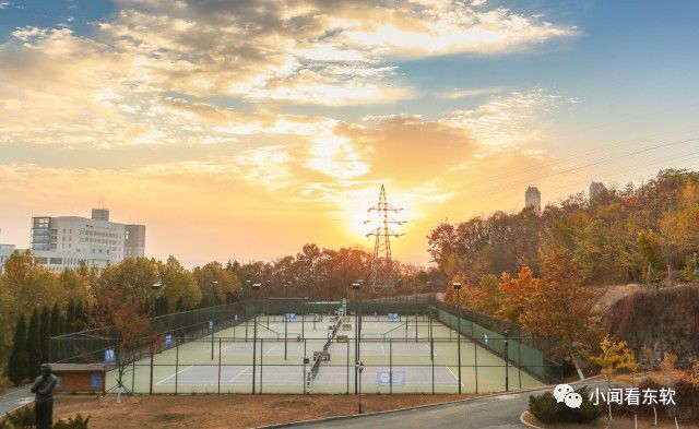 大连东软是本科学校吗,大连东软都有什么院系