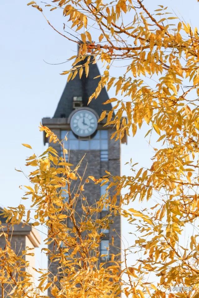 大连东软是本科学校吗,大连东软都有什么院系