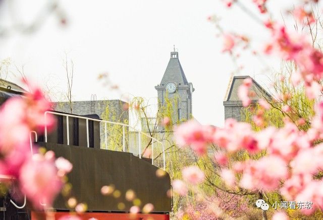 大连东软是本科学校吗,大连东软都有什么院系