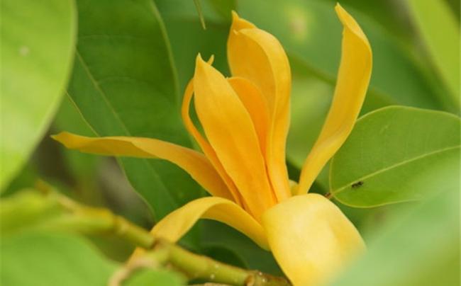 每个人都要经历的必经之路 (每个人所走的路都是必经之路)