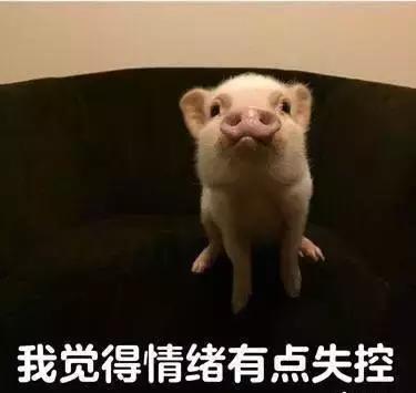 雅思没过会退钱吗,雅思没过