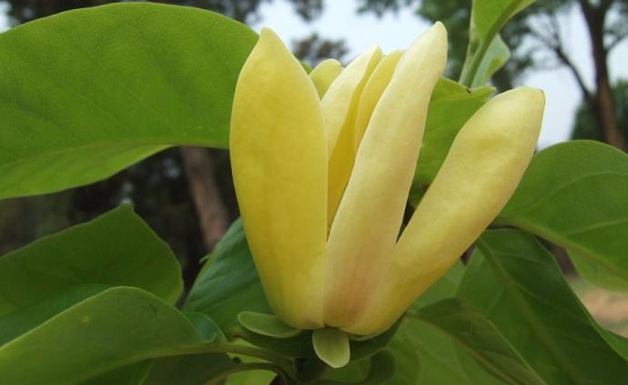 每个人都要经历的必经之路 (每个人所走的路都是必经之路)