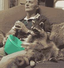 婚礼宾客最厌恶的几件事,婚礼上的尴尬事怎么办