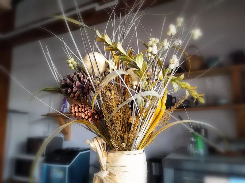 客栈店长,丽江客栈老板的一天