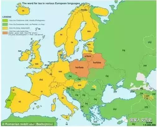 天下“茶”字同一宗：英语里为何既有“cha”又有“tea”?