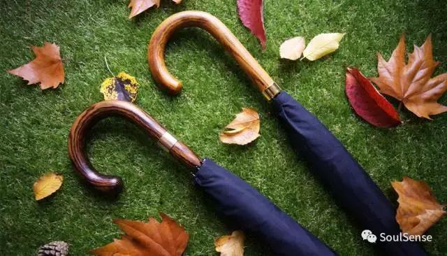 收藏雨伞,高档收藏雨伞