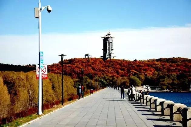 长春冬季最美拍照地,长春有一个很适合拍照的地方