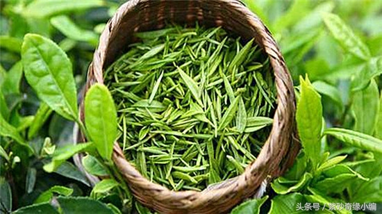 雁荡毛峰的冲泡方法,新手选紫砂壶推荐哪种壶型