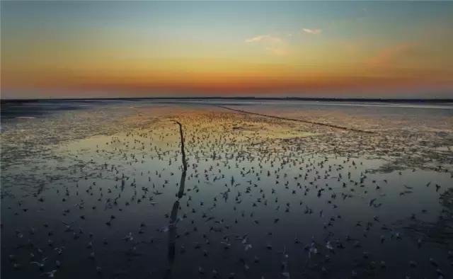 秦皇岛有什么意义,秦皇岛的意思是什么