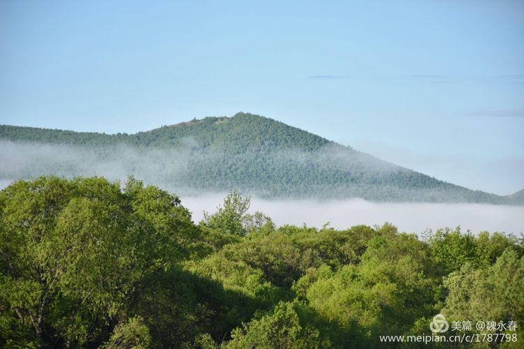 内蒙古草原旅游度假村,内蒙古敖鲁古雅景区