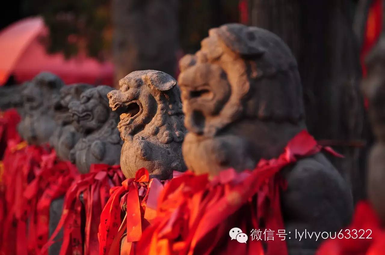 洛阳适合中学生好玩免费景点,洛阳各个景点的介绍