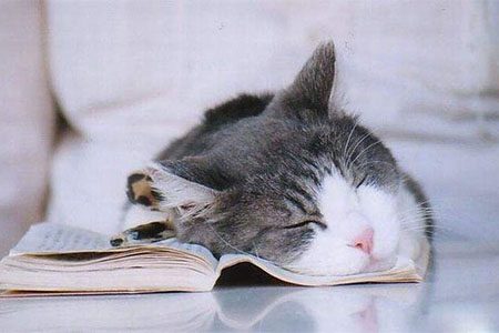 入秋是养瘦最好时机！做对6件事让你轻松燃脂