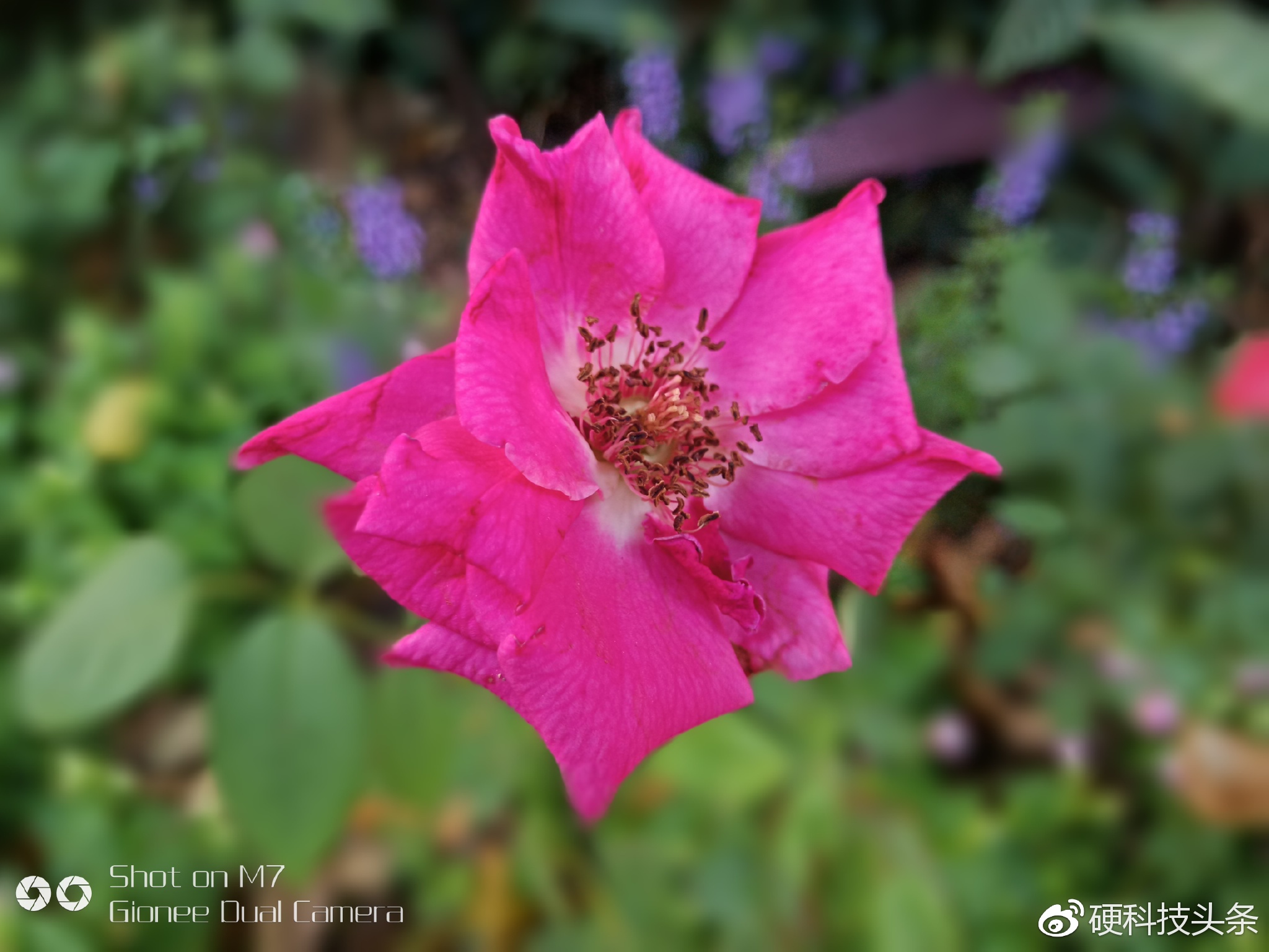 金立m7测评,全面屏手机性能好