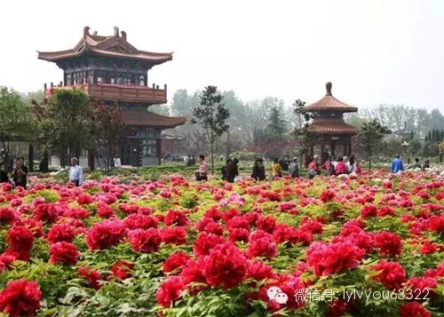 洛阳适合中学生好玩免费景点,洛阳各个景点的介绍