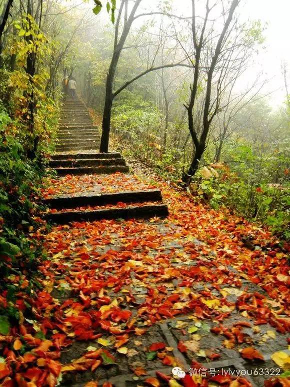 洛阳适合中学生好玩免费景点,洛阳各个景点的介绍