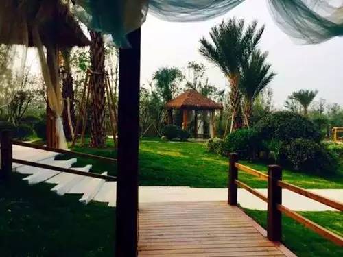 洛阳适合中学生好玩免费景点,洛阳各个景点的介绍