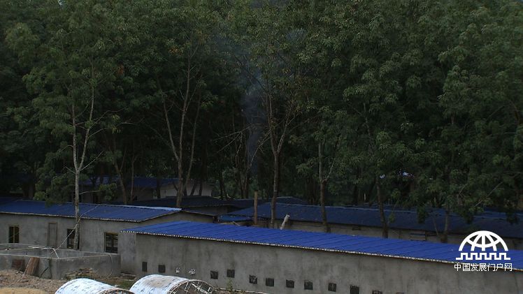 致富经年轻小伙养豪猪发家致富,致富经养蛇视频全集