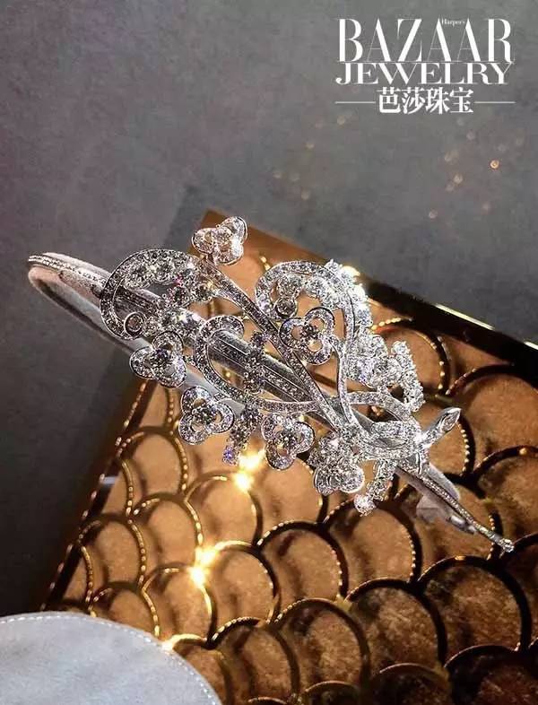 时尚新宠到底有哪些魅力,时尚界的新宠是谁