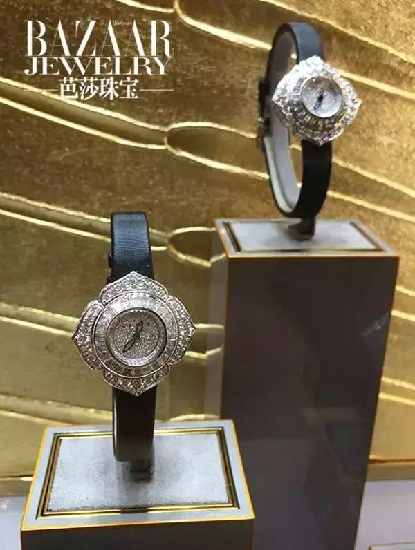 时尚新宠到底有哪些魅力,时尚界的新宠是谁