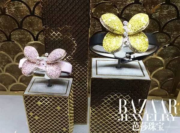 时尚新宠到底有哪些魅力,时尚界的新宠是谁