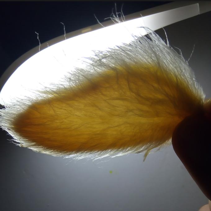 制作一枚精美的书签,如何制作精美又简单的个性化书签