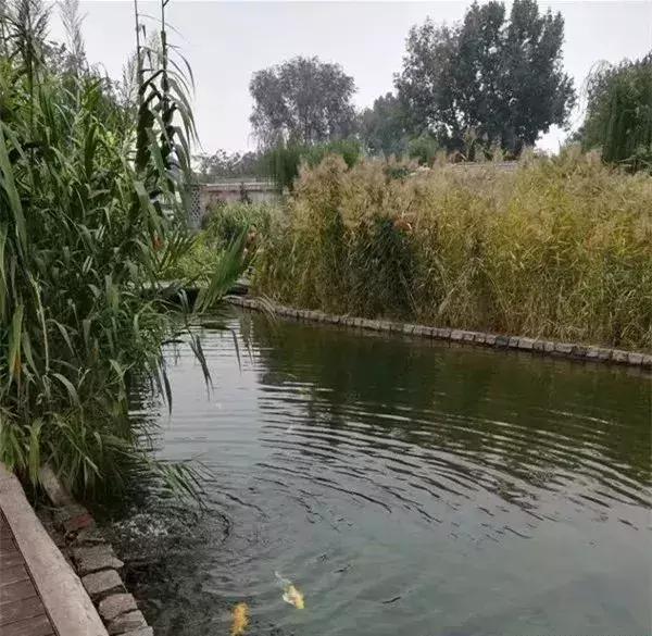 百年大宅门！传奇打磨厂！