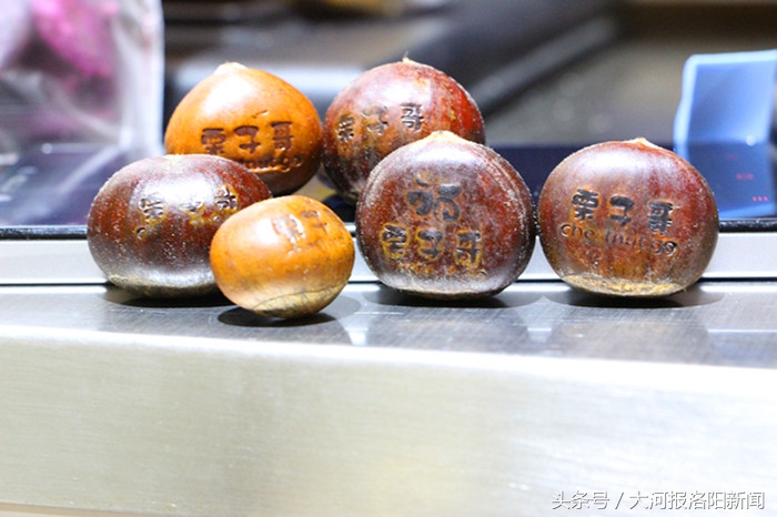 励志哥乞讨月入过万,励志哥一年收入