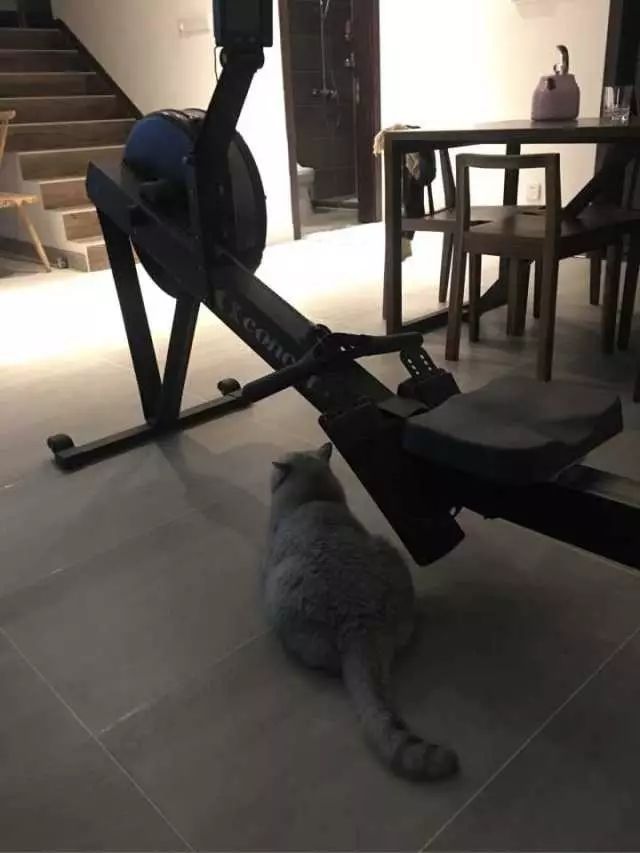 最红的网红淘宝店主,上海网红淘宝店主