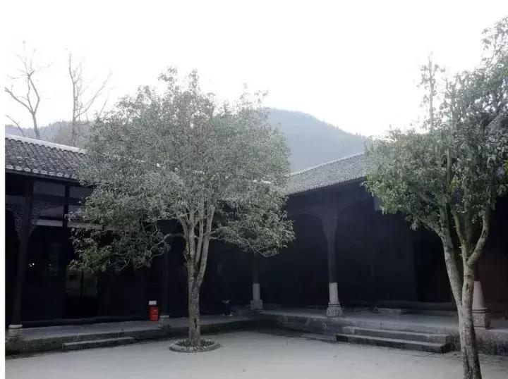 东极看日出最好的岛,东极岛旅游攻略2天1晚住宿日出