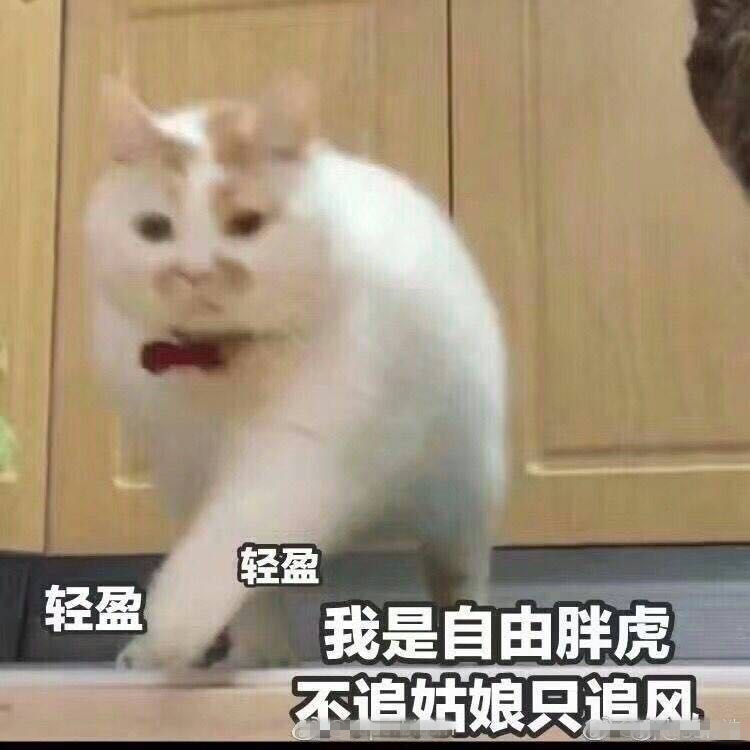 三菱汽车灯光的调试设置,三菱汽车的灯光操作