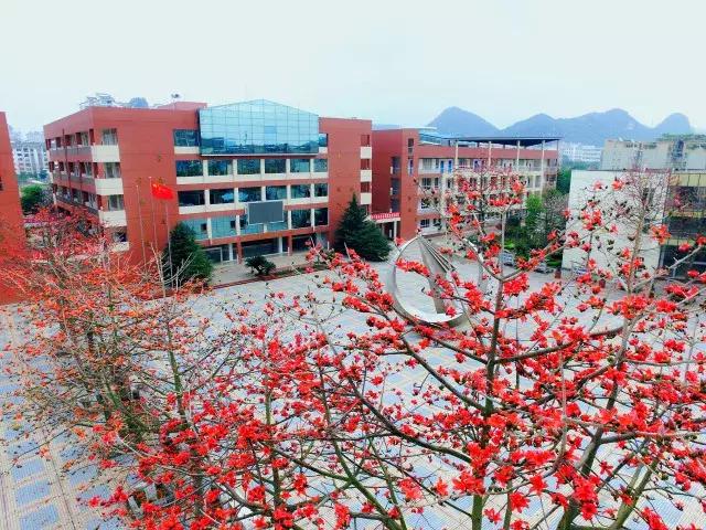 柳州市第十二中学,最美校园柳州市第二中学