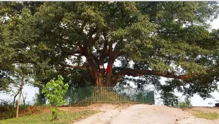 东极看日出最好的岛,东极岛旅游攻略2天1晚住宿日出