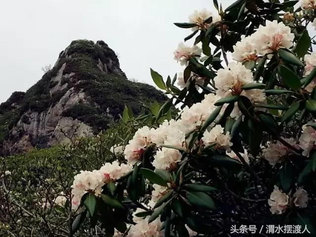 人迹罕至的风景,人迹罕至的神秘美景