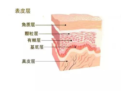 秋冬泛红脱皮皮肤怎么修复,秋冬面部干燥脱皮怎么办