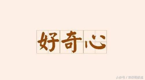 什么是猎奇内容,什么是猎奇