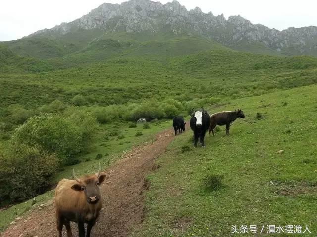 人迹罕至的风景,人迹罕至的神秘美景