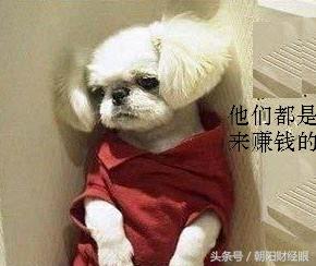 凛冬已至股市与债市,凛冬将至股票