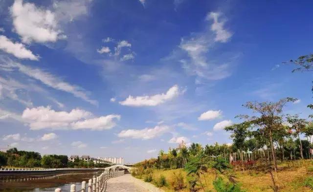 “讲好山东故事”散文丨黄河入海，大美东营