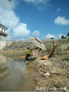 钓鱼人最爱的野钓收获,钓鱼人最喜欢钓啥