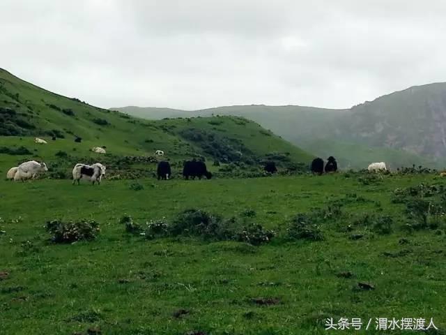 人迹罕至的风景,人迹罕至的神秘美景