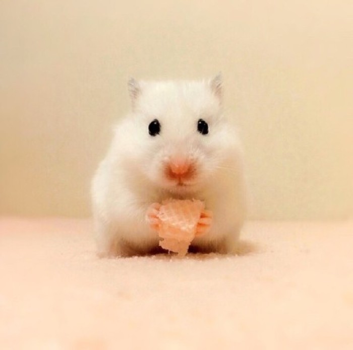 结婚男方大气的搞笑段子 (搞笑结婚三十周年对口型段子)