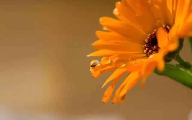 栗子姐情感问答07,栗子姐每日情感问答100句