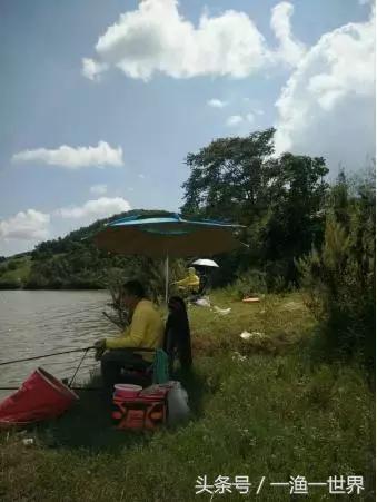 钓鱼人最爱的野钓收获,钓鱼人最喜欢钓啥