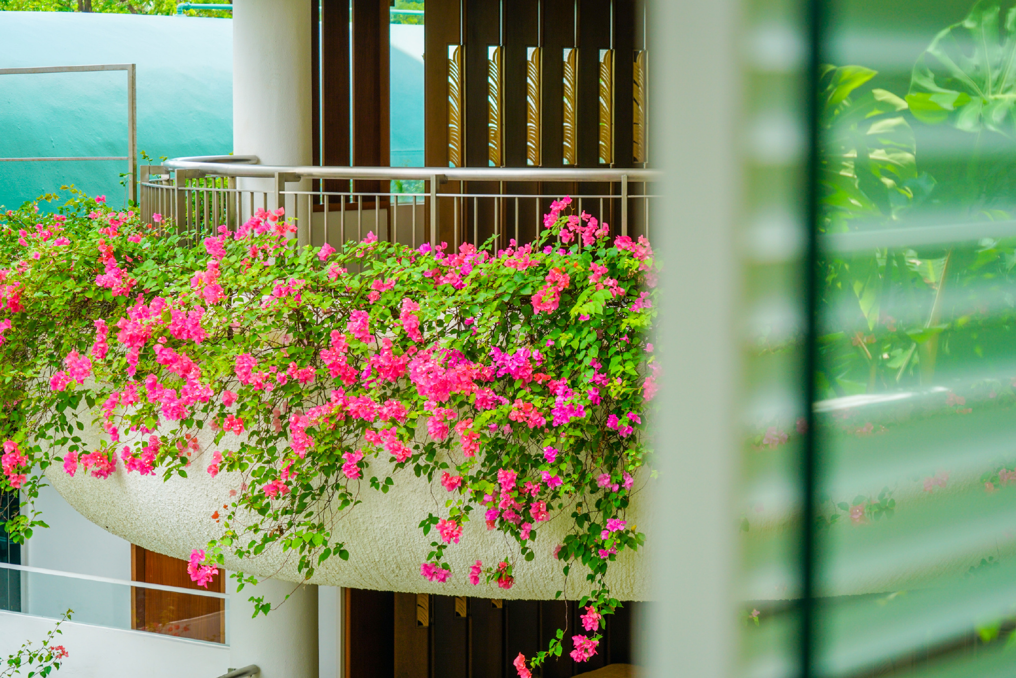 新加坡安全的酒店,新加坡安保有多强