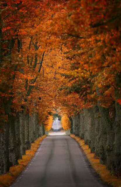 厚黑之道易而难,厚黑处世智慧全集