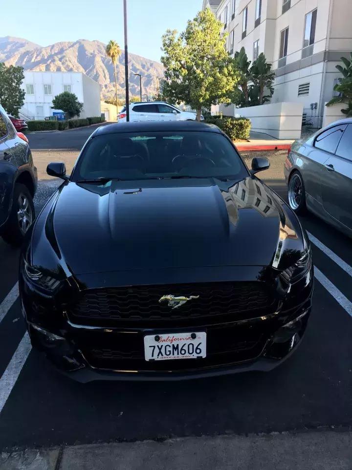 北美试驾福特探险者,美国福特野马试驾