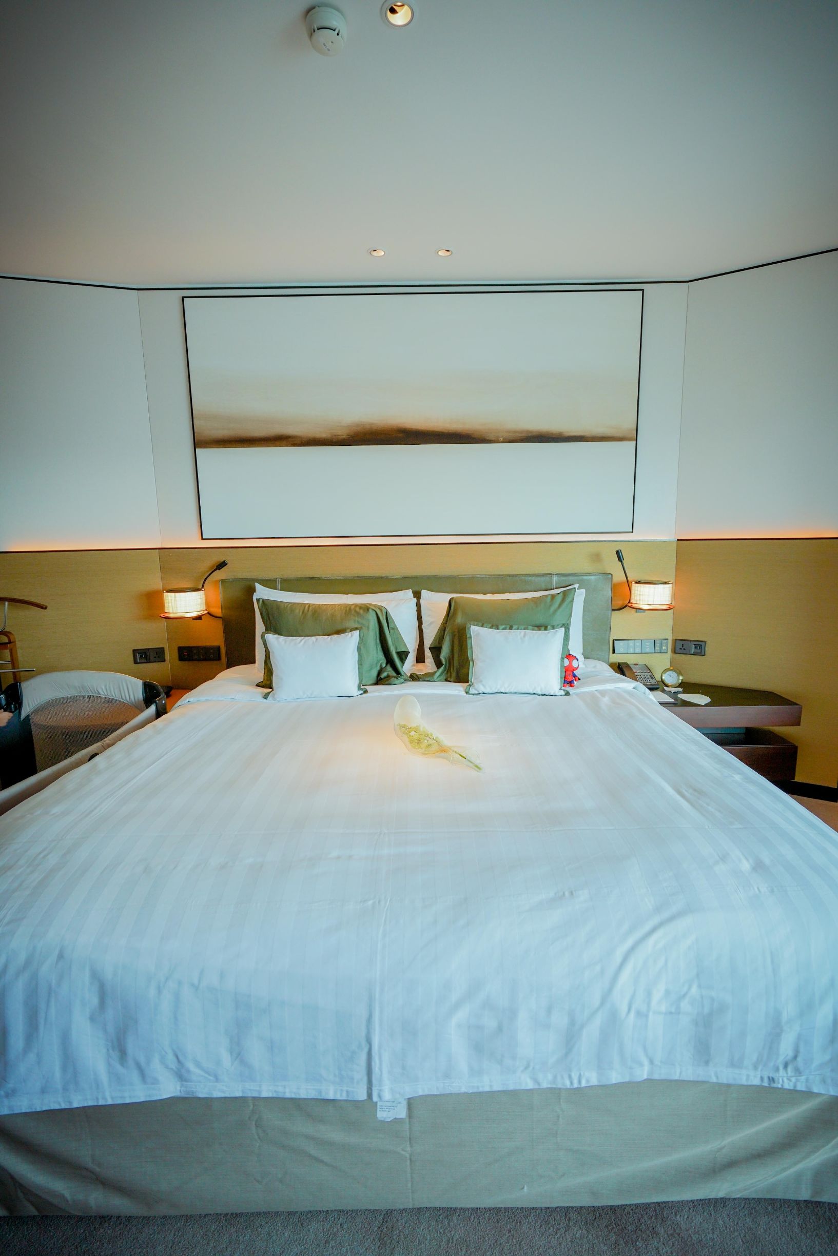 新加坡安全的酒店,新加坡安保有多强