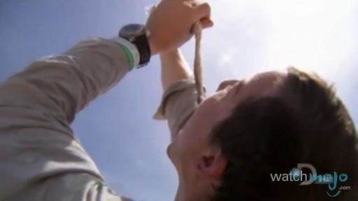 贝爷荒野求生吃恶心的东西,贝爷恶心的十大时刻